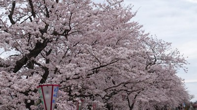 DSC_0943.JPG