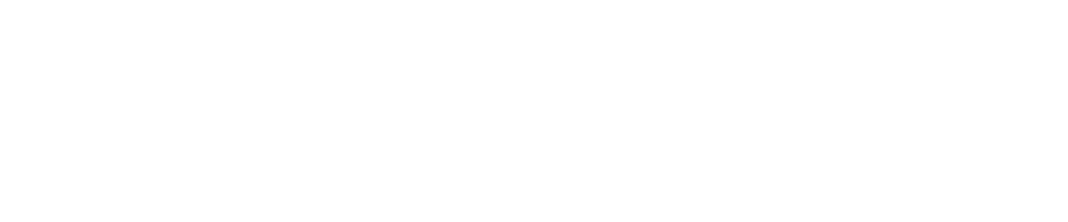新着情報